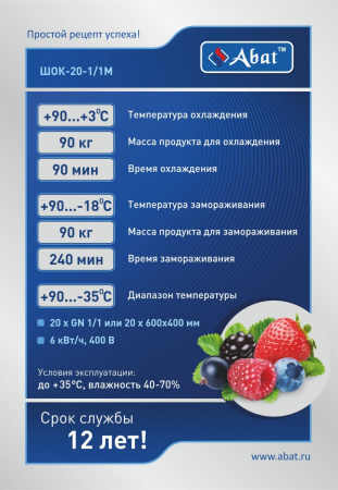 Аппарат шок. заморозки 20-и уровневый ШОК-20-1/1М